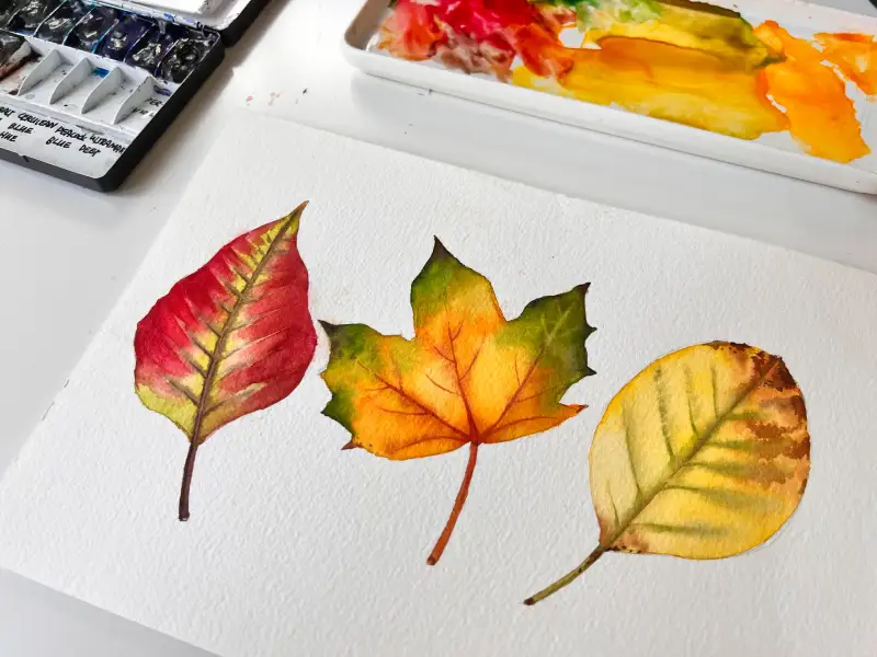 수채화일러스트