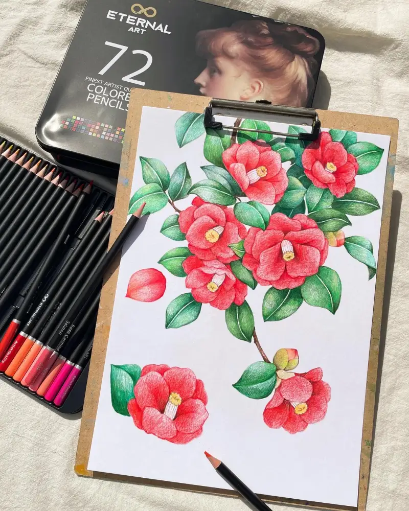 이터널유성색연필72색,이터널유성색연필세트,이터널유성색연필,색연필화,색연필드로잉,꽃그리기