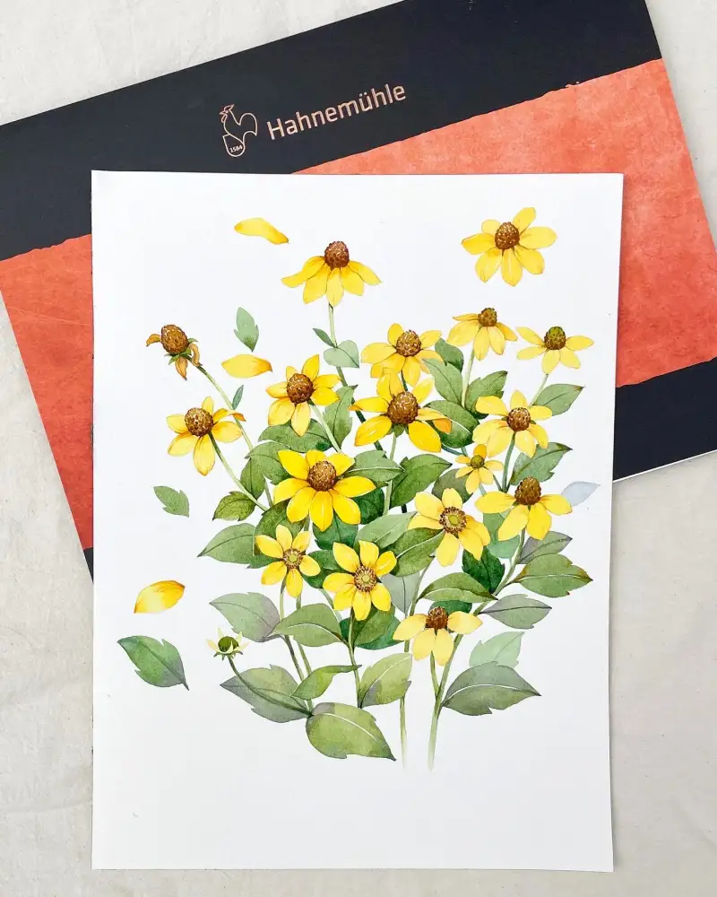 하네뮬레컬렉션수채패드,하네뮬레수채화패드,하네뮬레수채화종이,하네뮬레수채화용지,하네뮬레컬렉션,하네뮬레수채패드