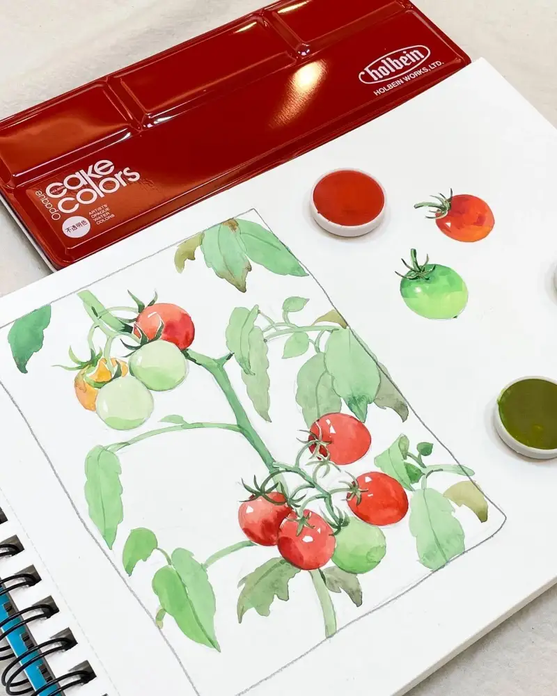 홀베인케이크컬러,홀베인케이크컬러불투명,홀베인고체케익,홀베인고체불투명,홀베인고체과슈,홀베인고체,홀베인고체수채화물감,홀베인고체수채화,홀베인불투명수채화