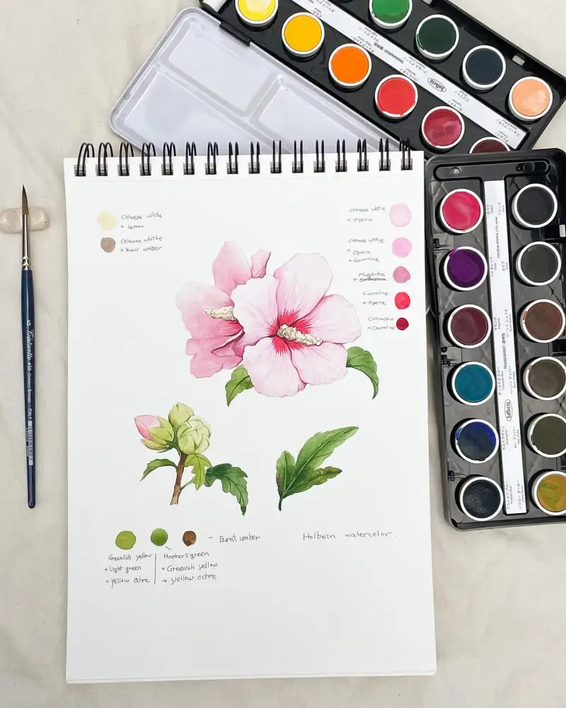 홀베인케이크컬러,홀베인케이크,홀베인고체물감,홀베인고체케익,홀베인고체수채화물감,홀베인수채화물감,홀베인수채화,홀베인고체수채화