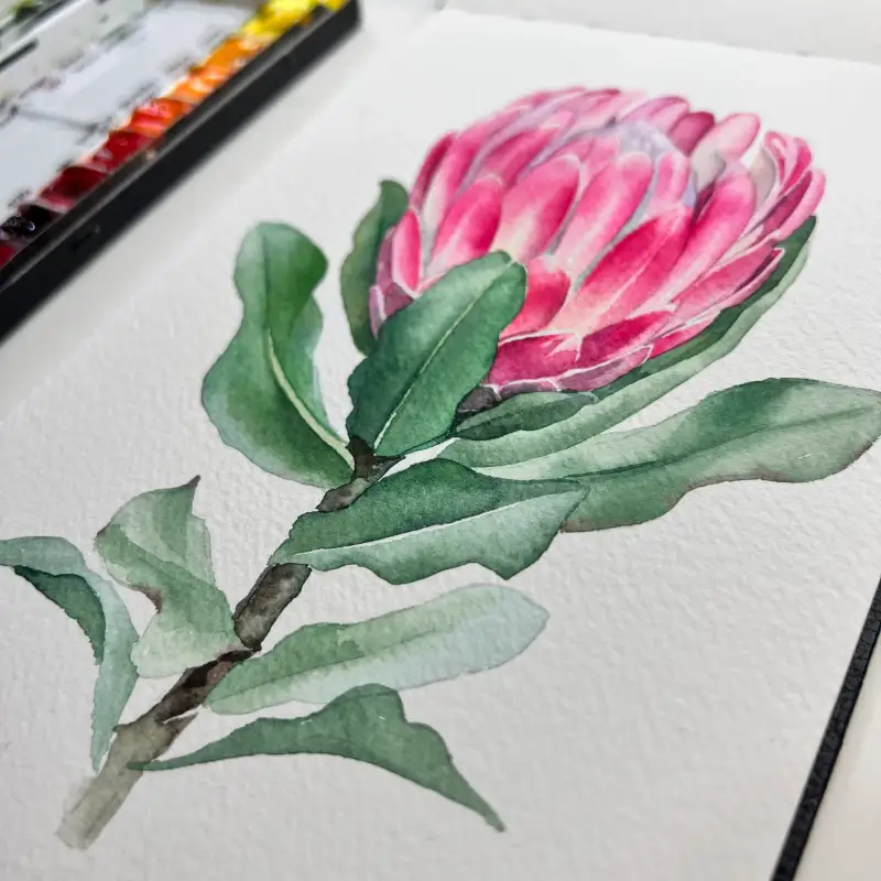 캔손아르쉬,캔손아르쉬수채패드,캔손수채패드,캔손아르쉬패드,아르쉬지,캔손아르쉬종이