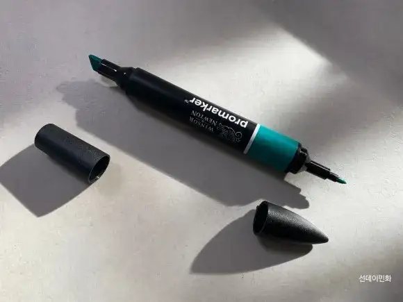 프로마카듀얼팁,윈저앤뉴튼프로마카