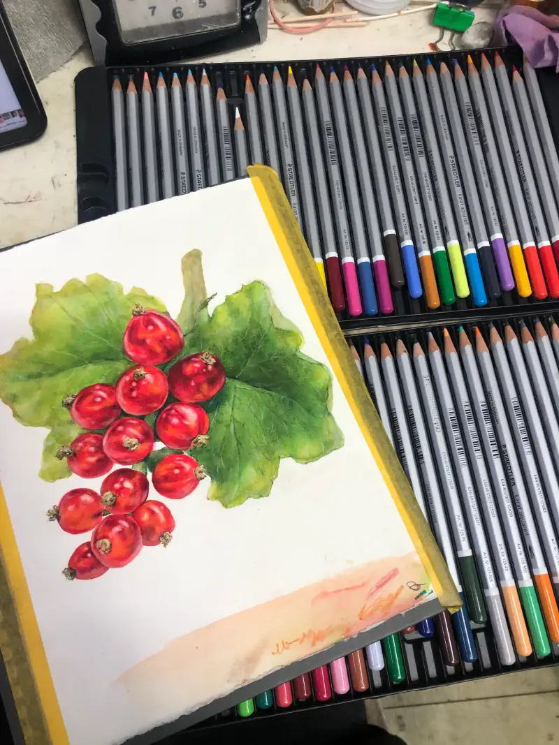 스테들러카라트,스테들러수채색연필,스테들러수채색연필60색