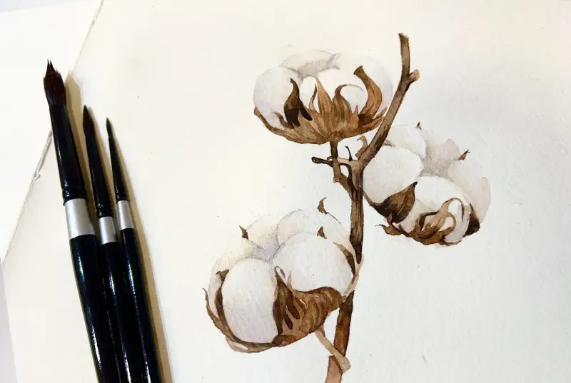 카디페이퍼,실버브러쉬,블랙벨벳