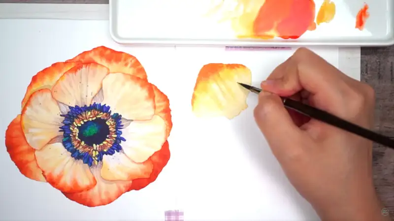 미젤로미션골드수채화물감,미젤로수채화물감,꽃그리기