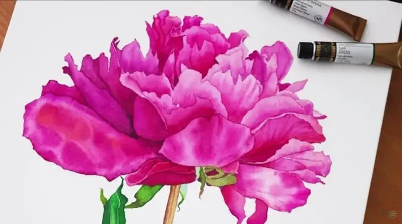 미젤로미션골드수채화물감,미젤로수채화물감,미션수채화물감,미션골드수채화물감