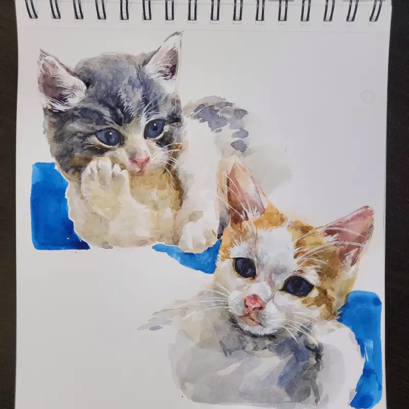 동물그리기,수채화그리기,고양이그리기