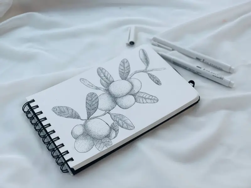 우찌다,우찌다라이너,드로잉라이너