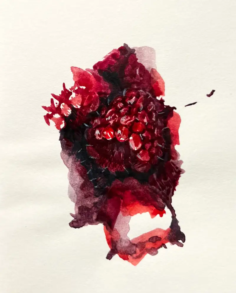 홀베인hwc수채화물감세트,바바라70r수채화붓