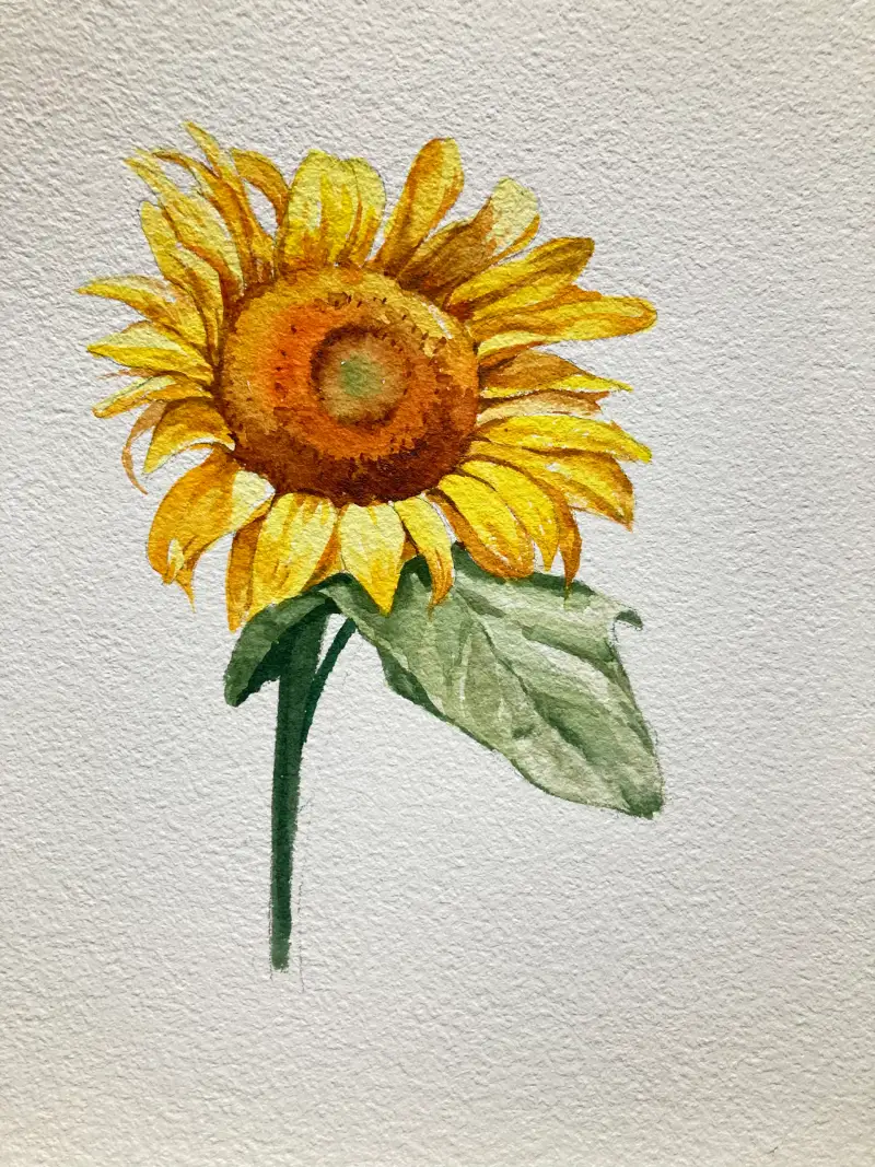 수채화,미젤로,해바라기,커뮤니티체험단