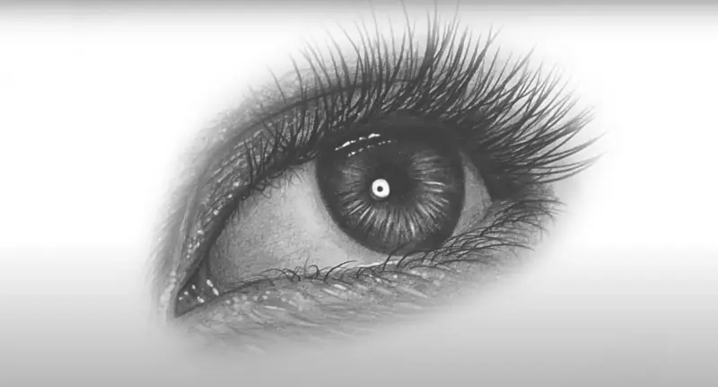 크레타칼라찰필,제브라델가드샤프,톰보우모노j연필,톰보드로잉연필,홀아트elm-v5전동연필깎이,elm전동지우개