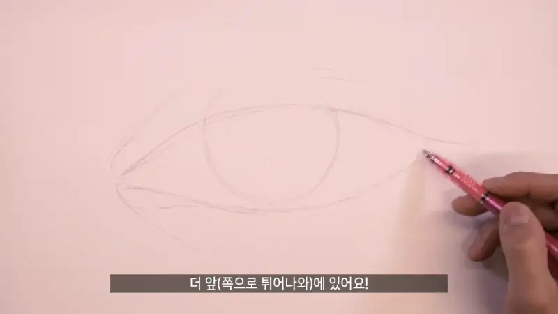 제브라델가드샤프,제브라샤프