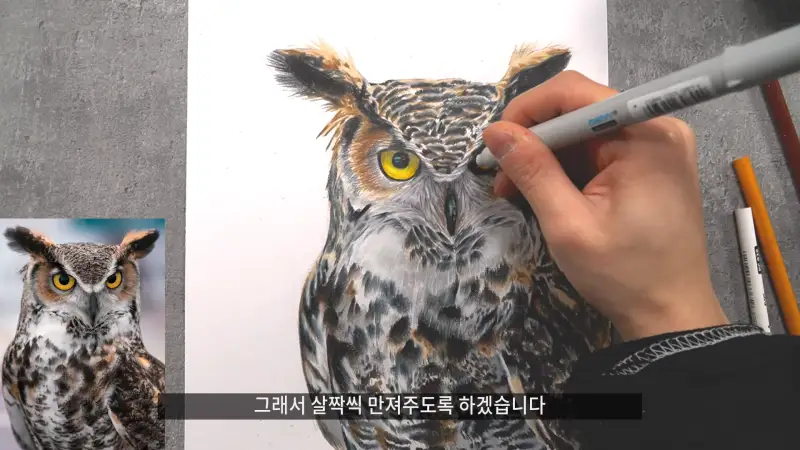 우찌다르플룸브러쉬마카