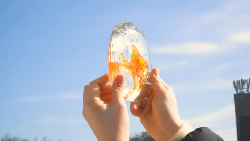 아모스글라스데코,글라스데코