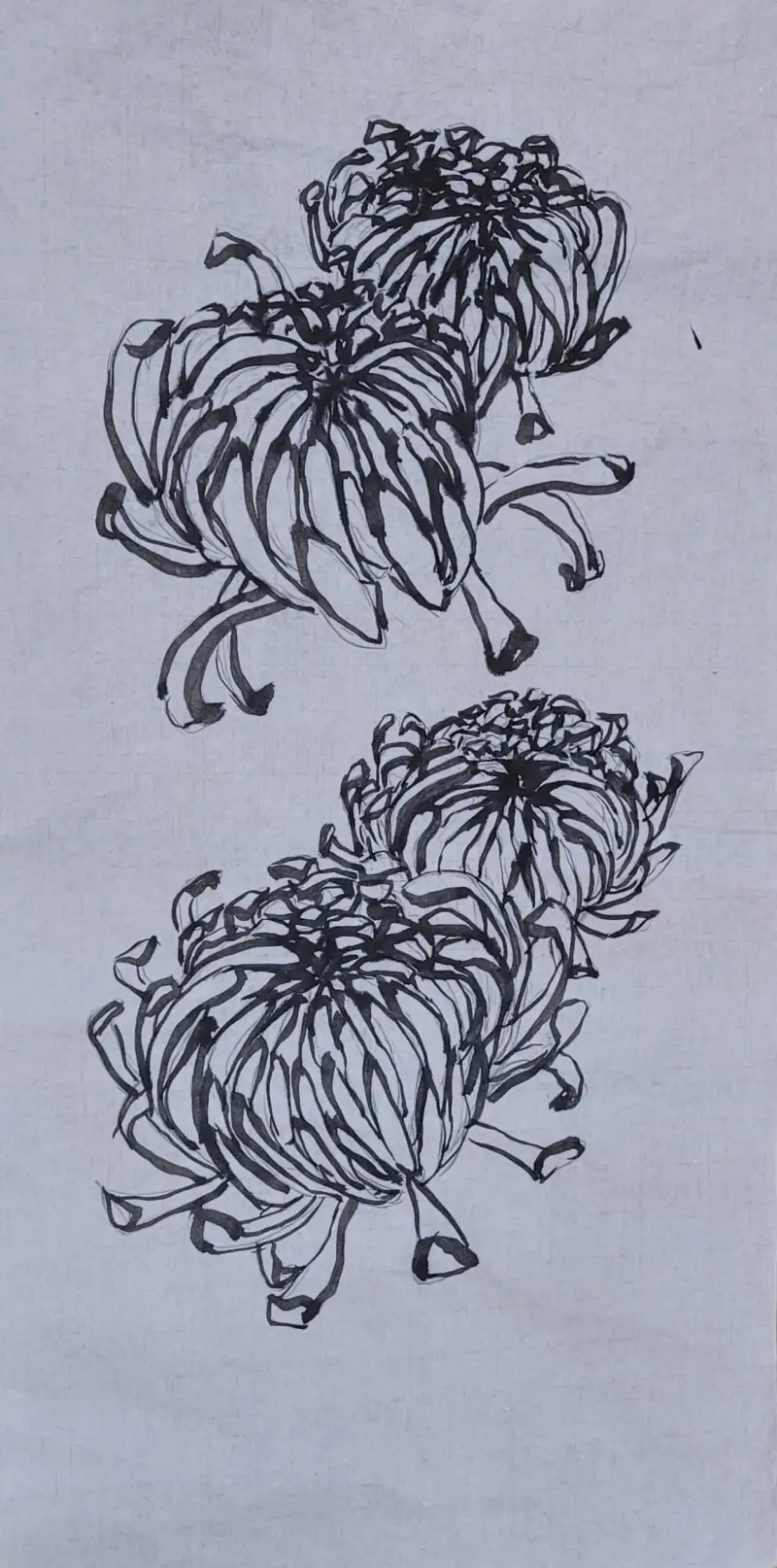 수묵,국화,정물,한국화