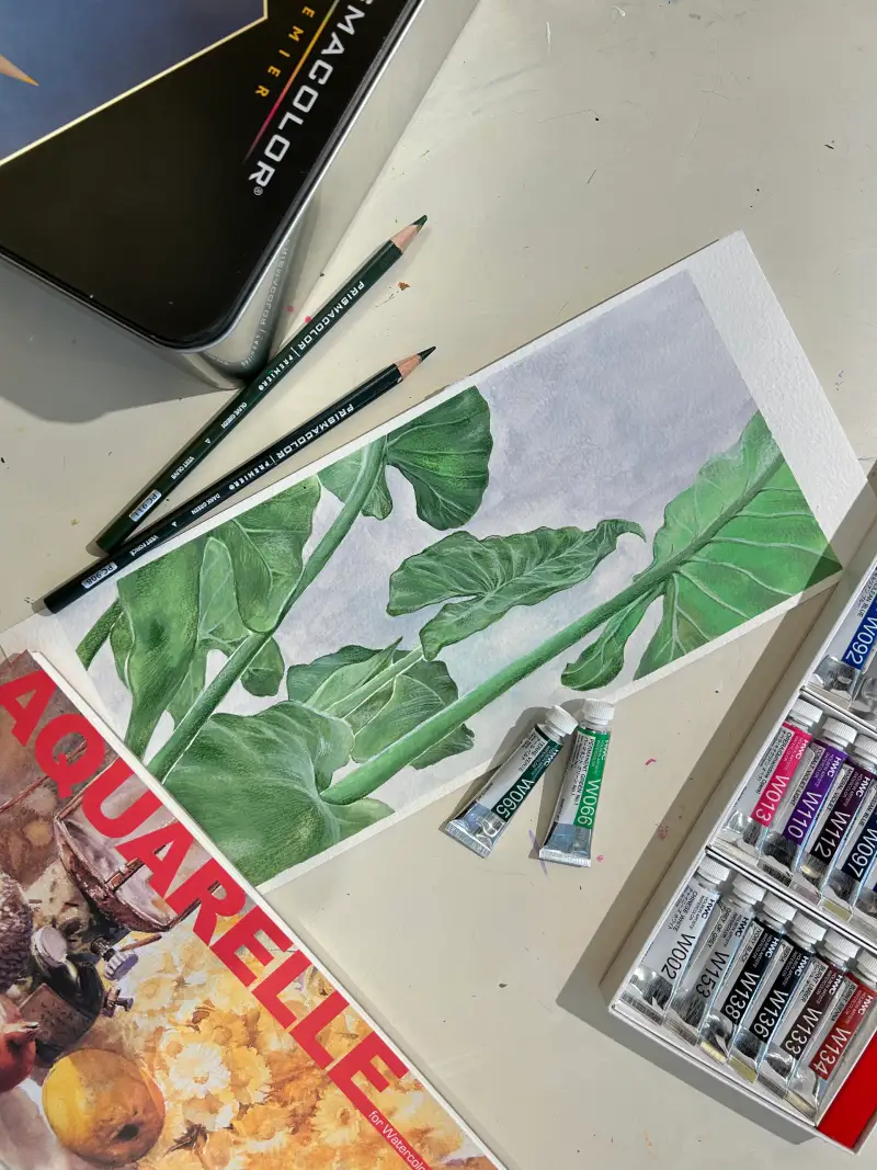 홀베인HWC수채화물감,세르지오아쿠아렐수채패드,프리즈마유성색연필