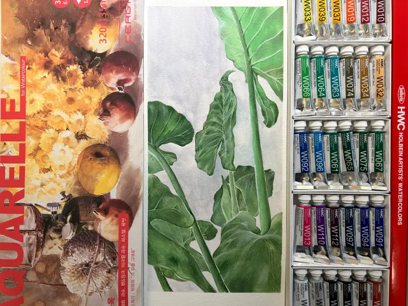 세르지오아쿠아렐수채패드,홀베인,홀베인HWC수채화물감