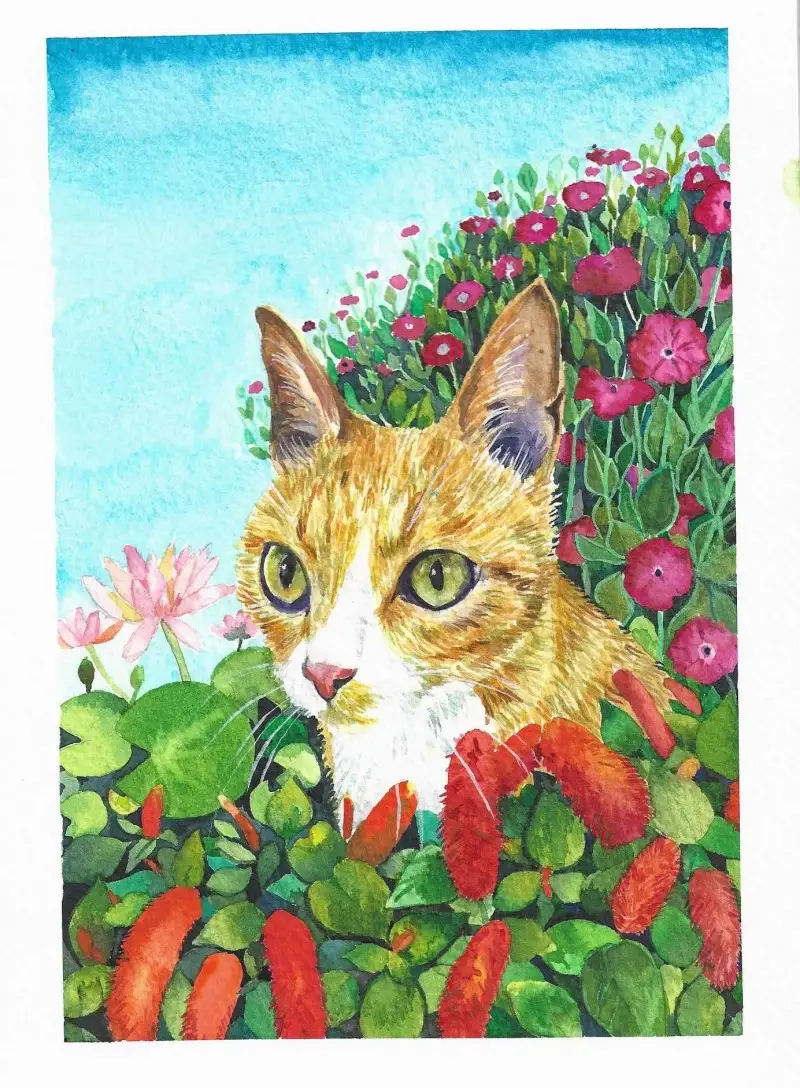 수채화지,황목,랑턴지