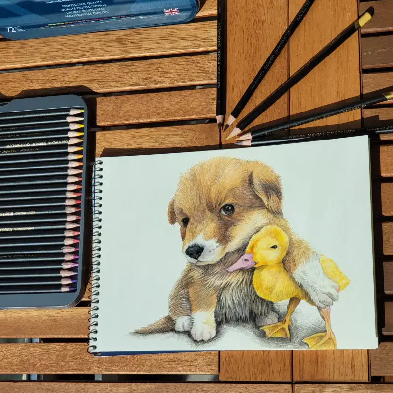 더웬트크로마플로우색연필,더웬트,유성색연필