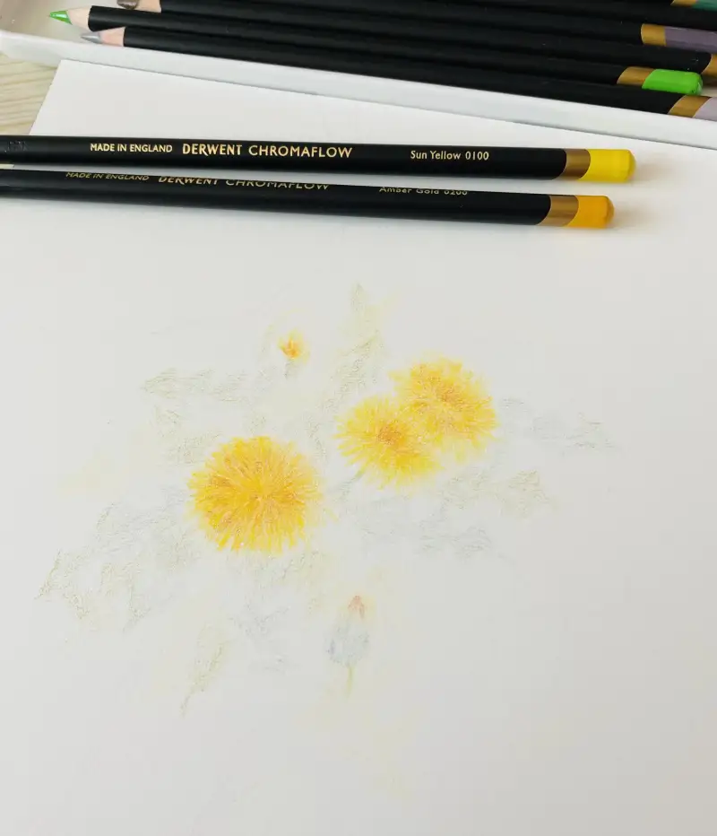 화방넷체험단,더웬트크로마플로우색연필,유성색연필,더웬트,더웬트색연필,신한커머스,민들레그리기,일러스트,새벽우주