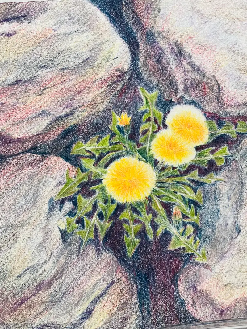 화방넷체험단,더웬트크로마플로우색연필,유성색연필,더웬트색연필,발색좋은색연필,신한커머스,새벽우주