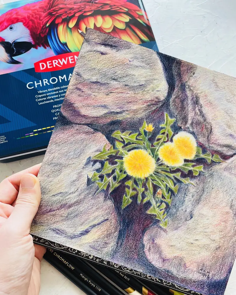 화방넷체험단,더웬트크로마플로우색연필,유성색연필,더웬트,발색좋은색연필,신한커머스,더웬트색연필,새벽우주,민들레일러스트