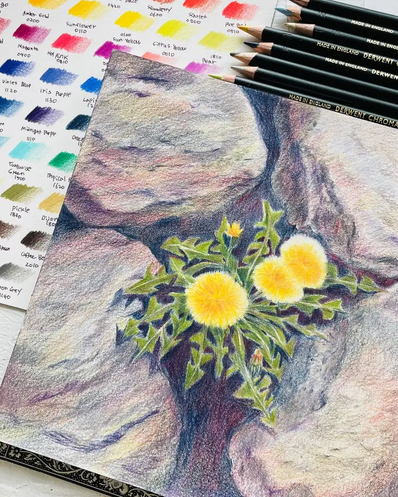 화방넷체험단,더웬트크로마플로우색연필,유성색연필,더웬트,더웬트색연필,신한커머스,새벽우주,민들레그림,민들레일러스트,발색좋은색연필,색연필화,보태니컬아트,색연필세밀화