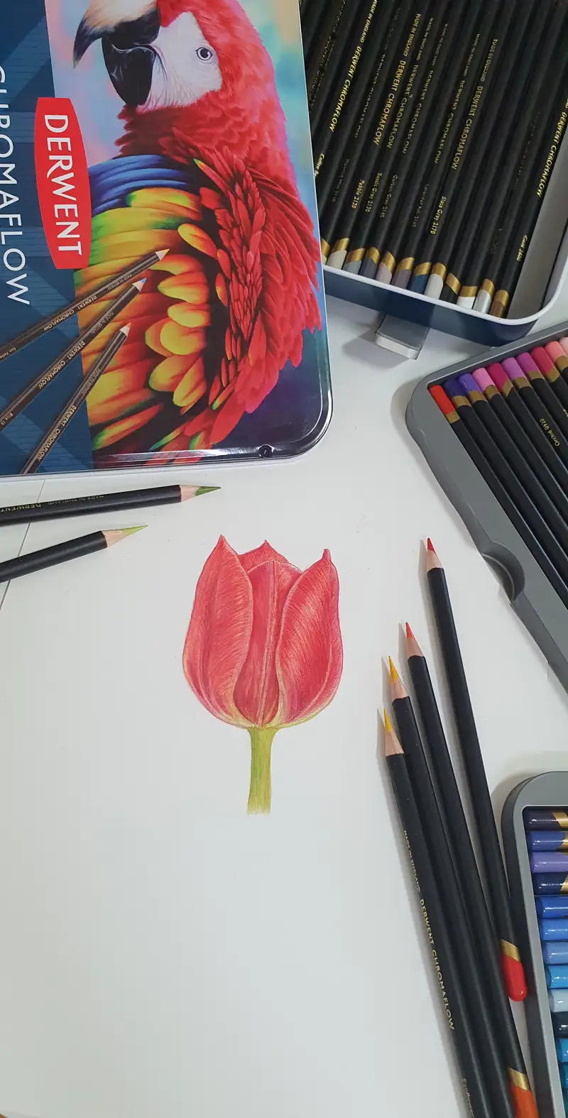 협찬,화방넷,화방넷체험단,더웬트색연필,크로마플로우,크로마플로색연필,색연필화