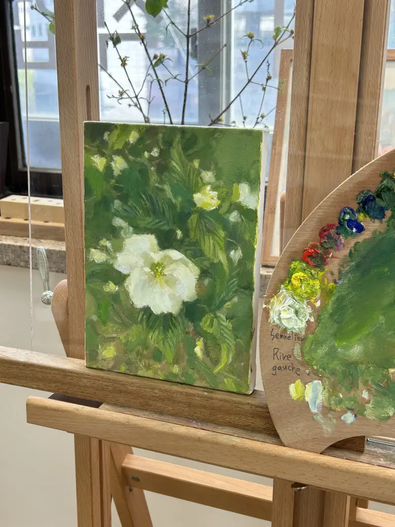 시넬리에리브고쉬,리브고쉬,시넬리에