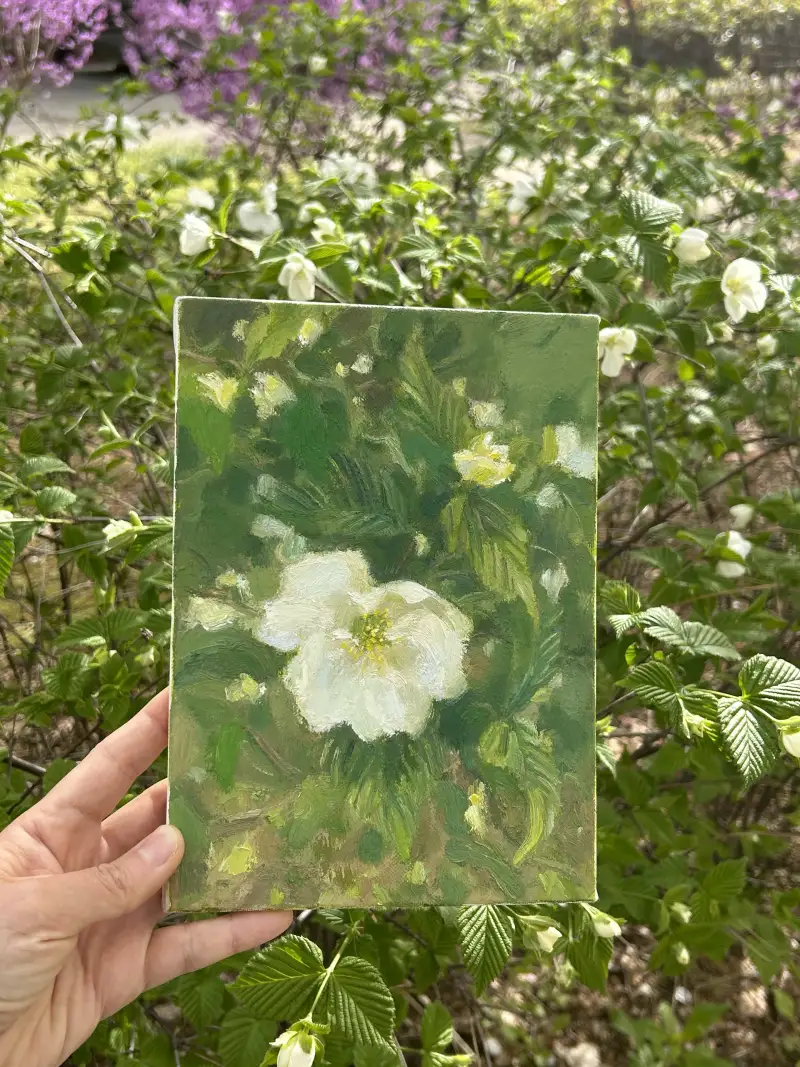 시넬리에,리브고쉬