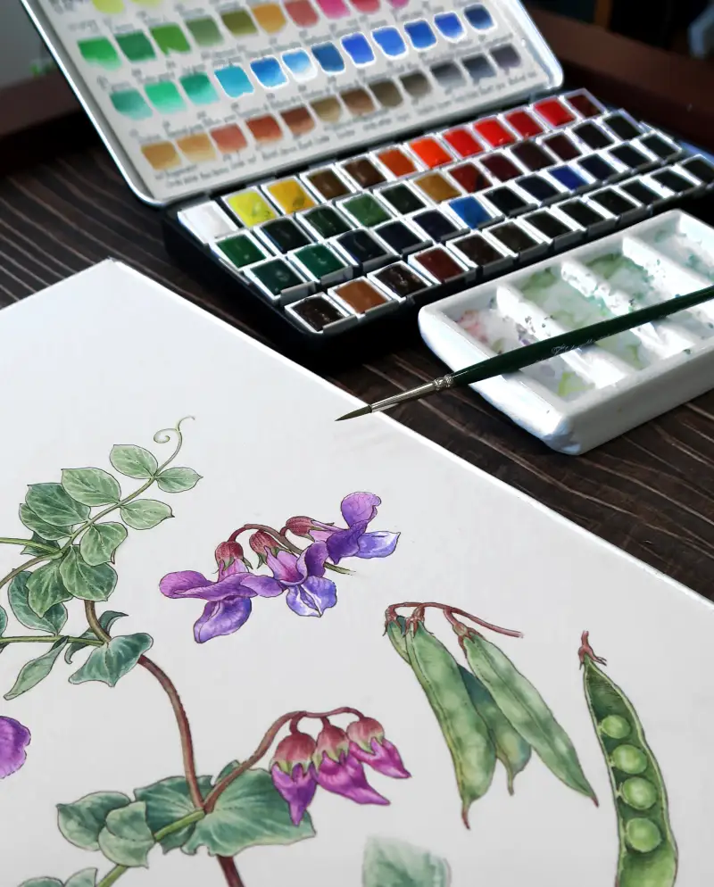 램브란트고체수채화물감