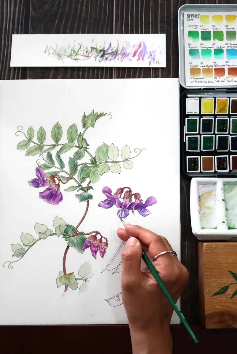 램브란트고체수채화물감