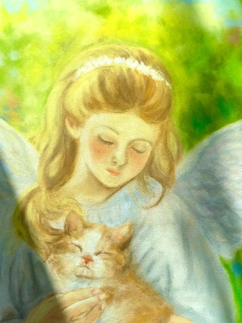 시넬리에,소프트파스텔,파스텔,가루파스텔,시넬리에파스텔