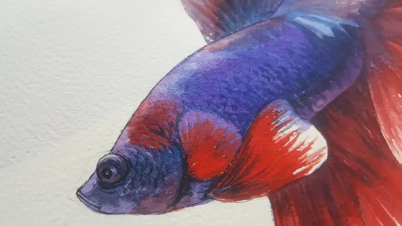 수채화그림,베타그리기