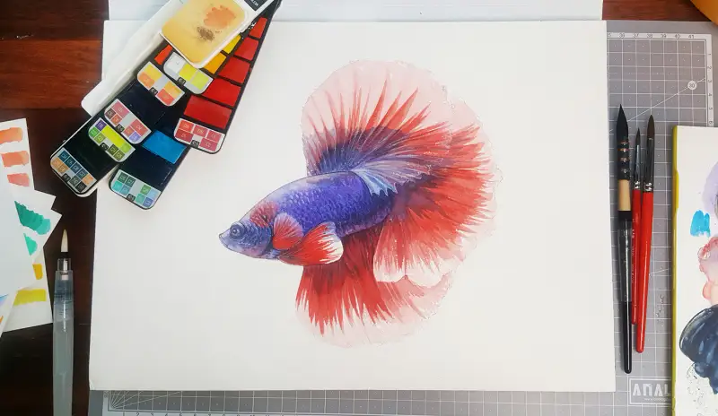 베타물고기,고체물감