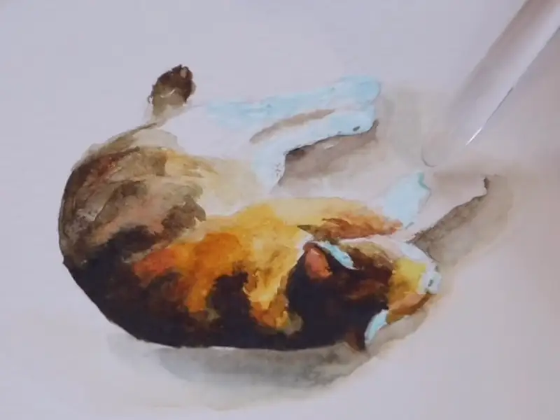 마스킹잉크,수채화,클리너