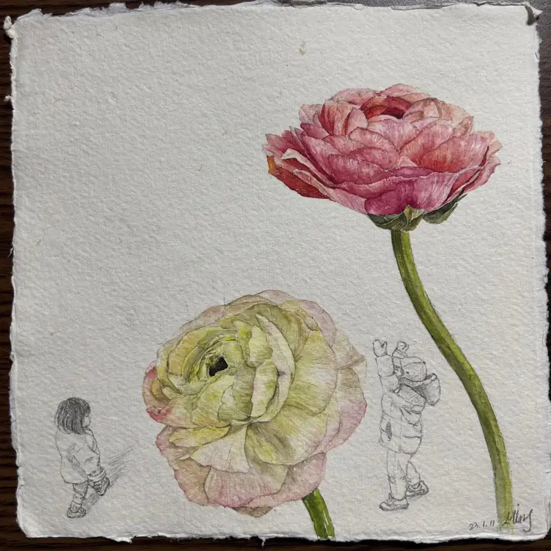 홀베인수채화물감,라넌큘러스,아이그림,그리민