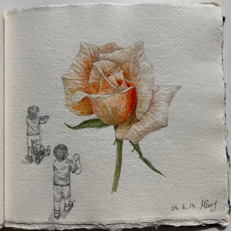 홀베인수채화물감,장미꽃그림,아이그림,그리민