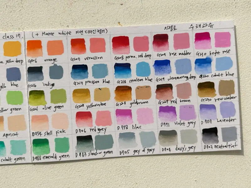 미젤로수채과슈