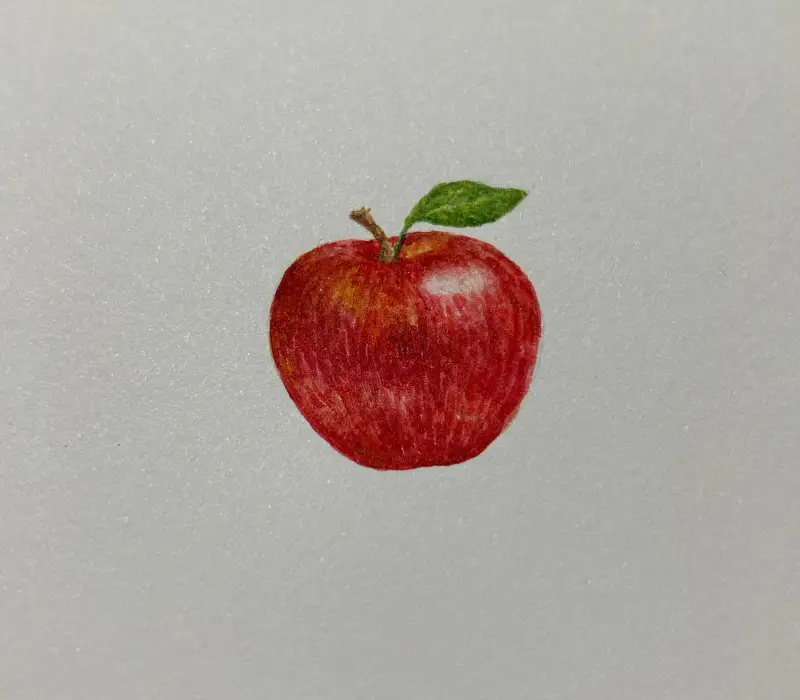 Swc,수채화,미젤로