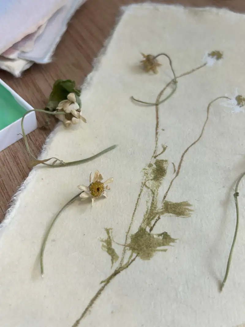 길상,길상채미먹,채미먹