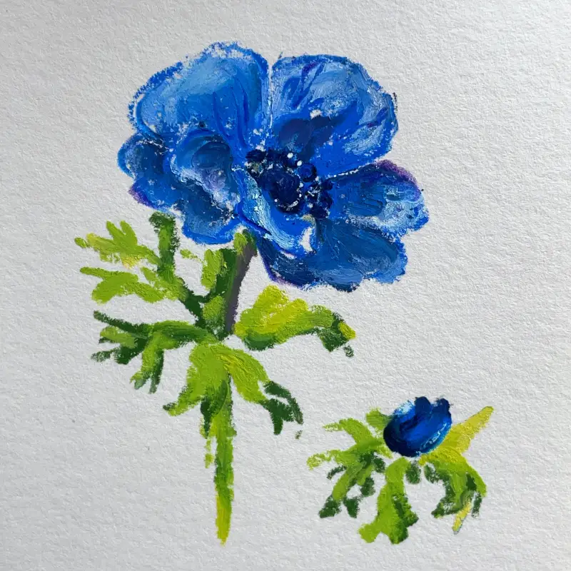 새미,오일파스텔,하네뮬레