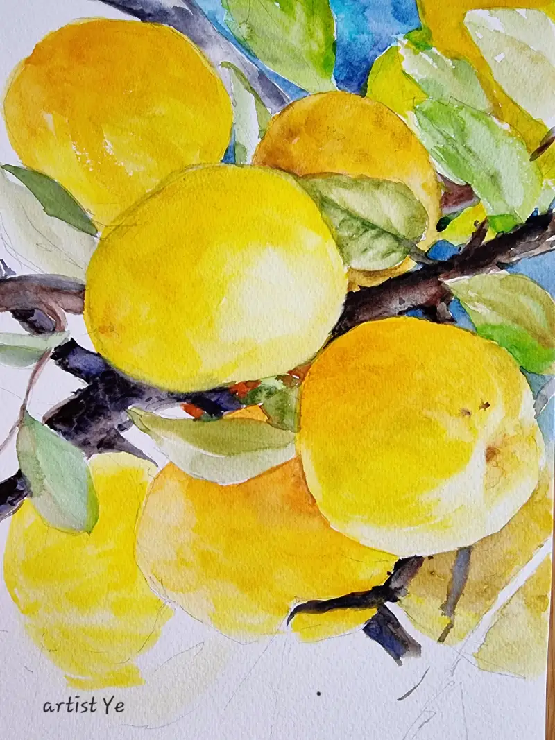 미젤로,미션골드,퓨어,피그먼트,수채화물감,모과