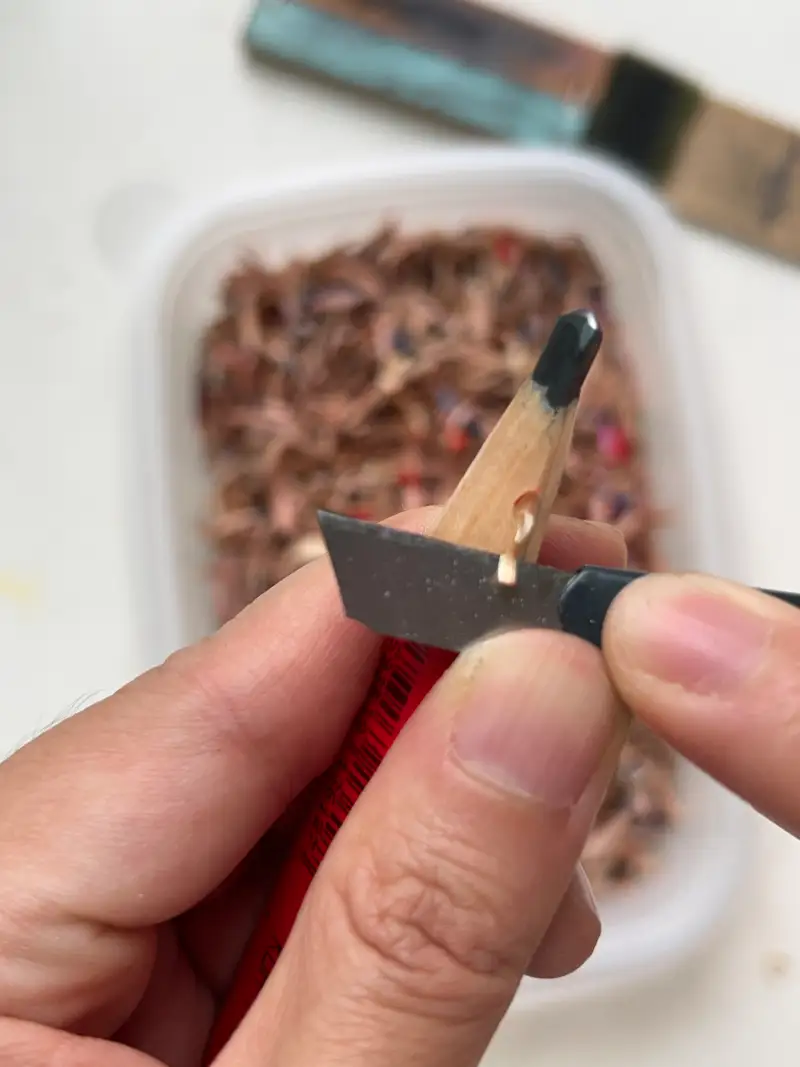 목수연필,코이노