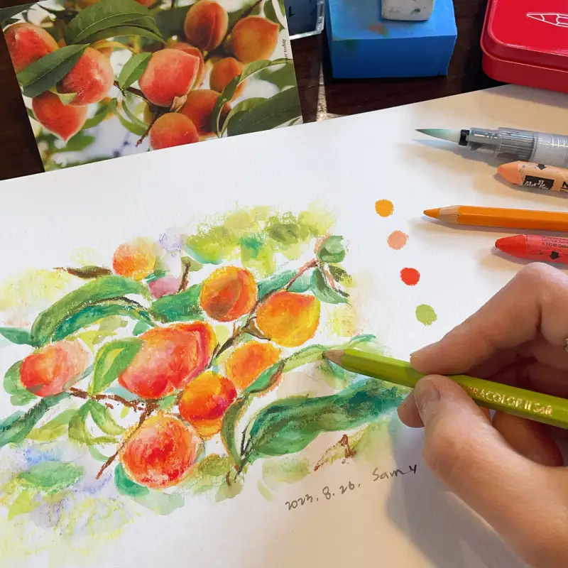 까렌다쉬네오컬러2,수채색연필,새미,수프라컬러,까렌다쉬,까렌다쉬수프라컬러