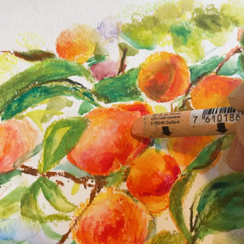 새미,까렌다쉬,네오컬러2,까렌다쉬크리에이티브박스