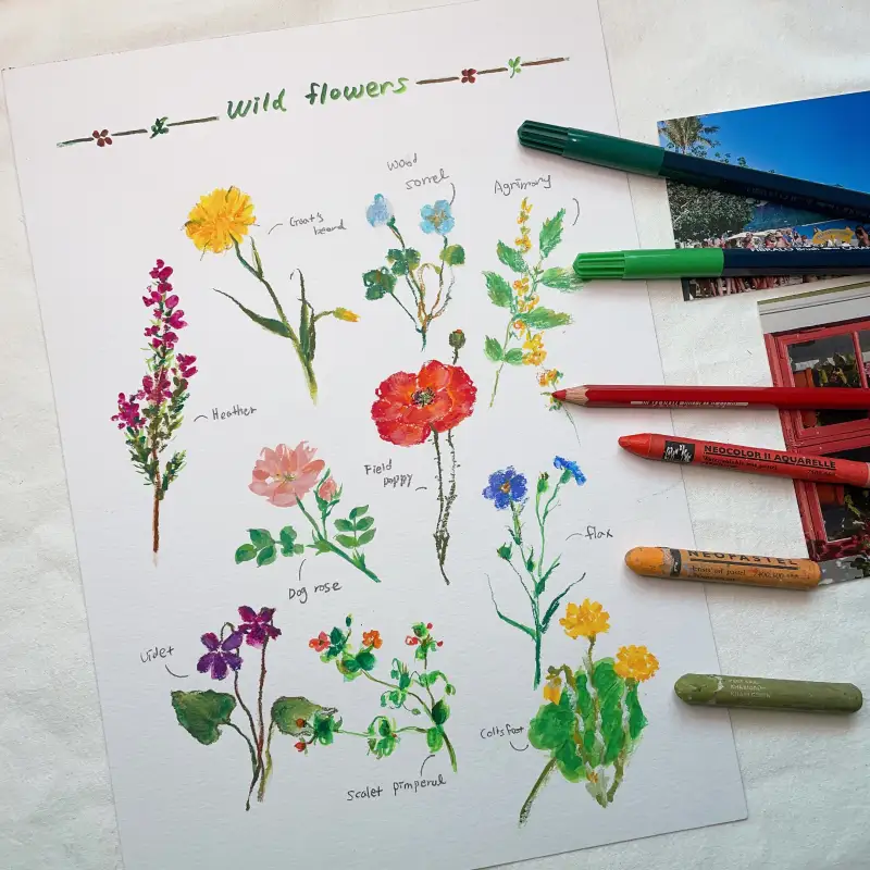 새미,까렌다쉬,까렌다쉬네오컬러,네오컬러2,수프라컬러,피브라로브러시,크리에이티브박스