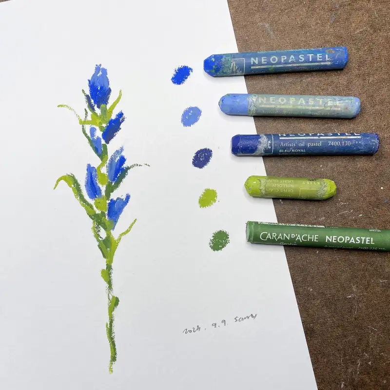 새미,오일파스텔,까렌다쉬,까렌다쉬오일파스텔