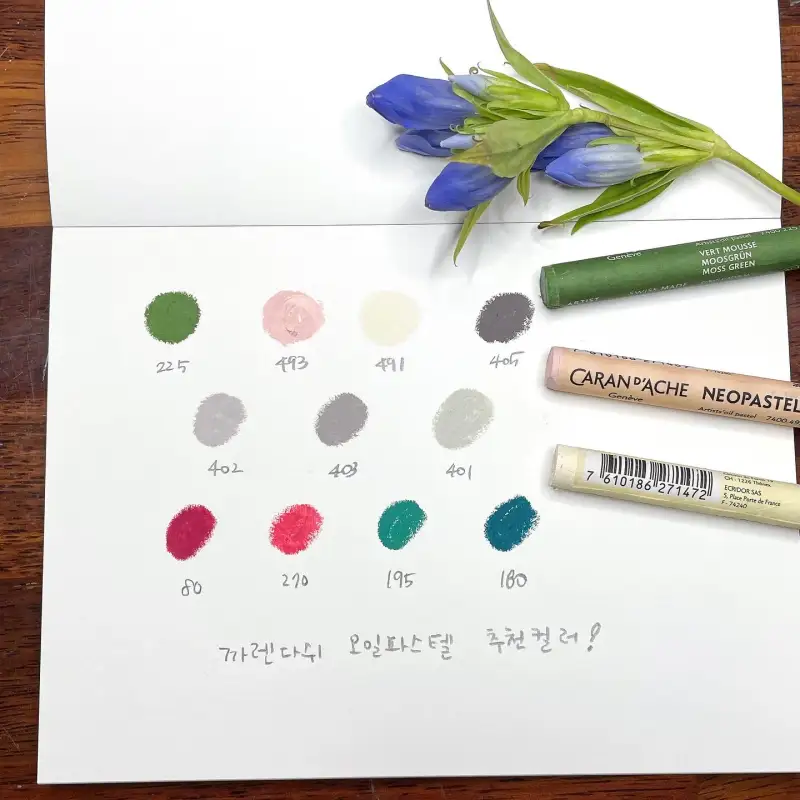 새미,오일파스텔,추천컬러